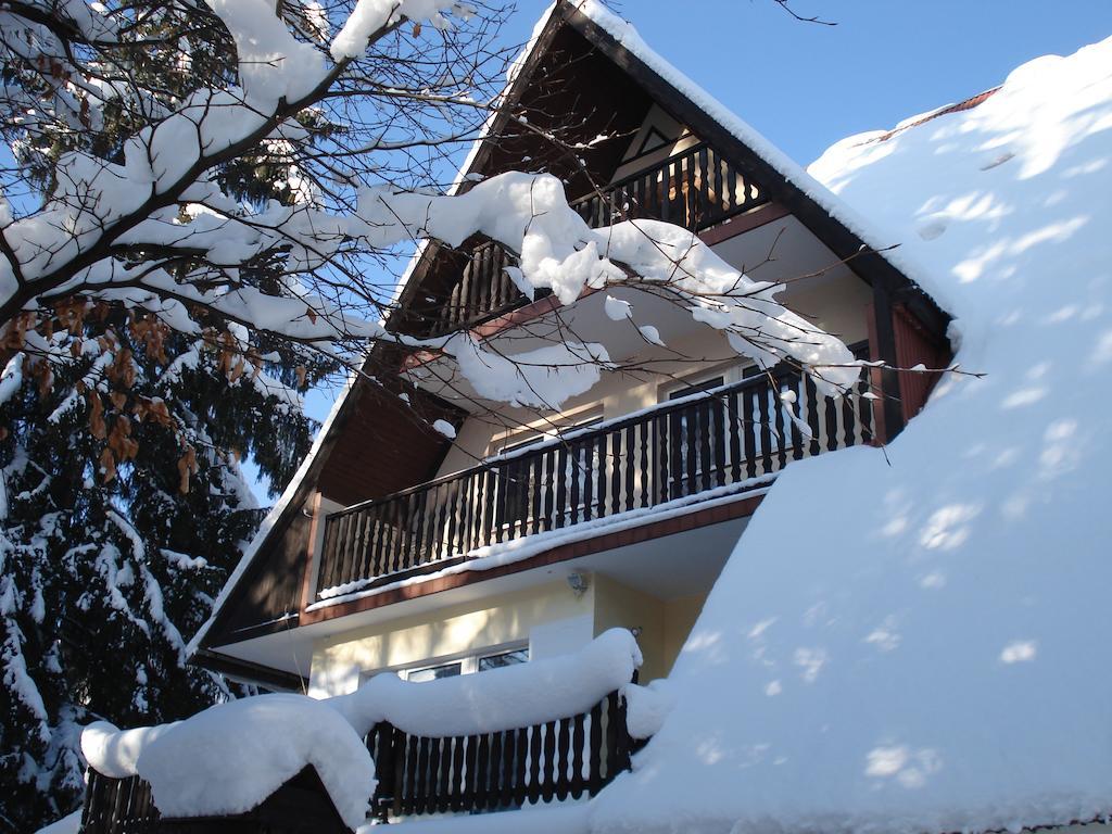 Willa U Marii Zakopane Kültér fotó